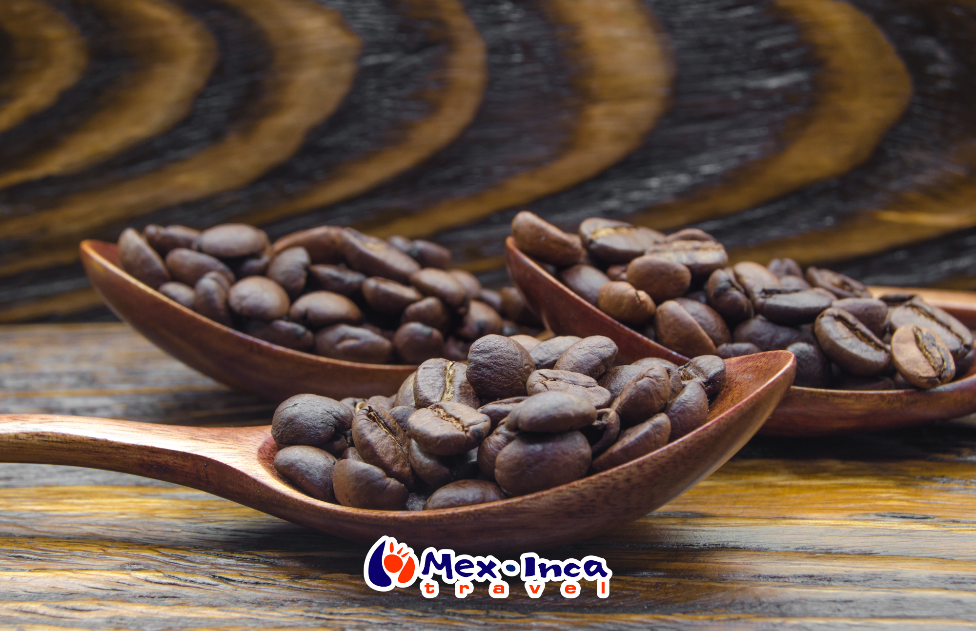 Veracruz_Gastronomico_con_Mision